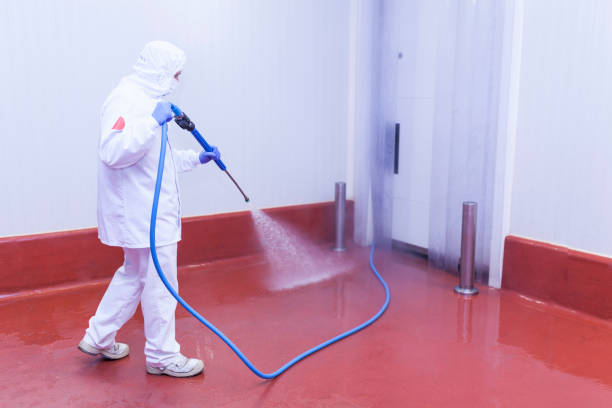 Trusted South Lake Tahoe, CA Pressure Washing Experts